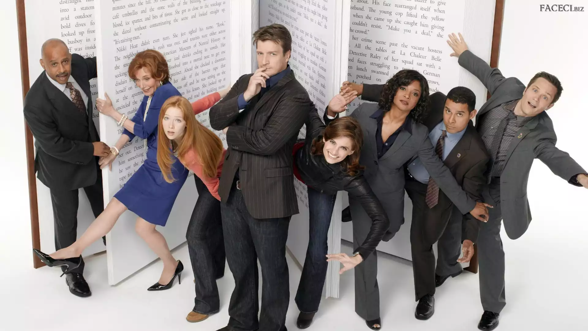 Nathan Fillion, Serial, Castle